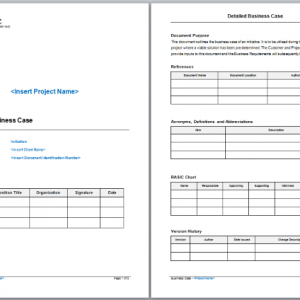 Detailed Business Case Template